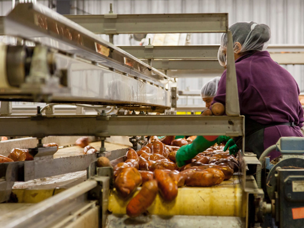 食品加工-行业解决方案-恩孚捷轴承(厦门)有限公司